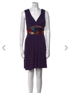 Ted Baker Deep PurpleV-Neck/ I’M MOVING, MAKE YOUR OFFER!!!! EVERYTHING MUST GO!